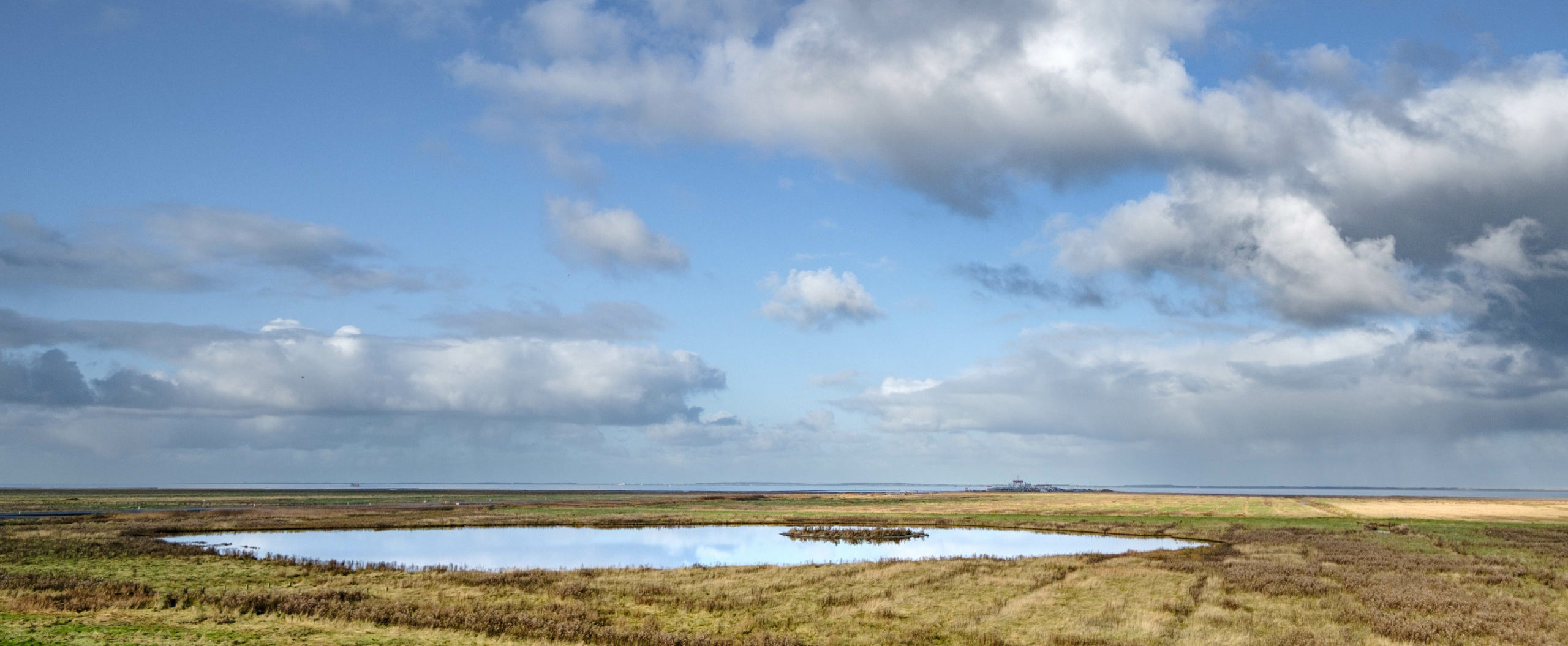 Landschap Waddenzee Nabij Holwerd, Friesland Province, The Nethe